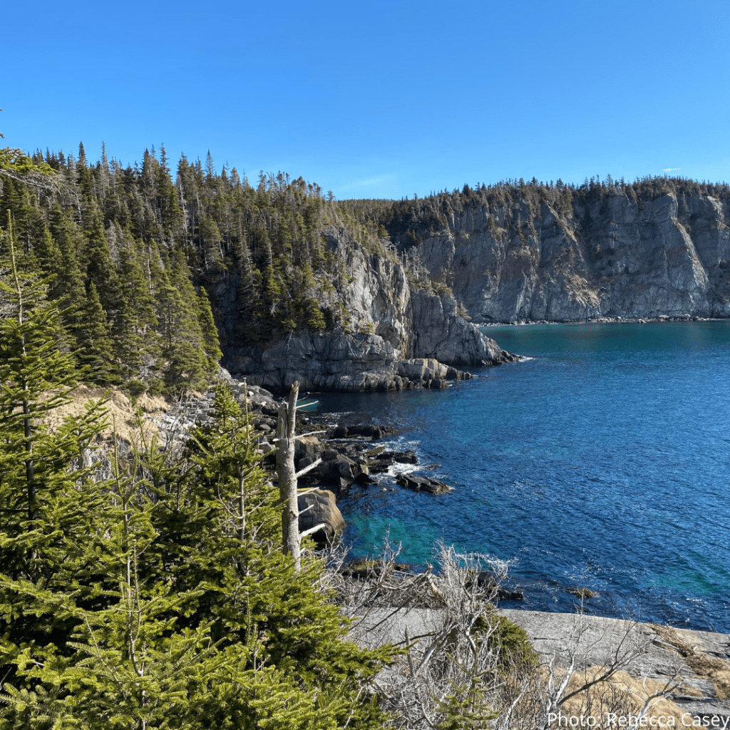 19. Brigus Head Path East Coast Trail