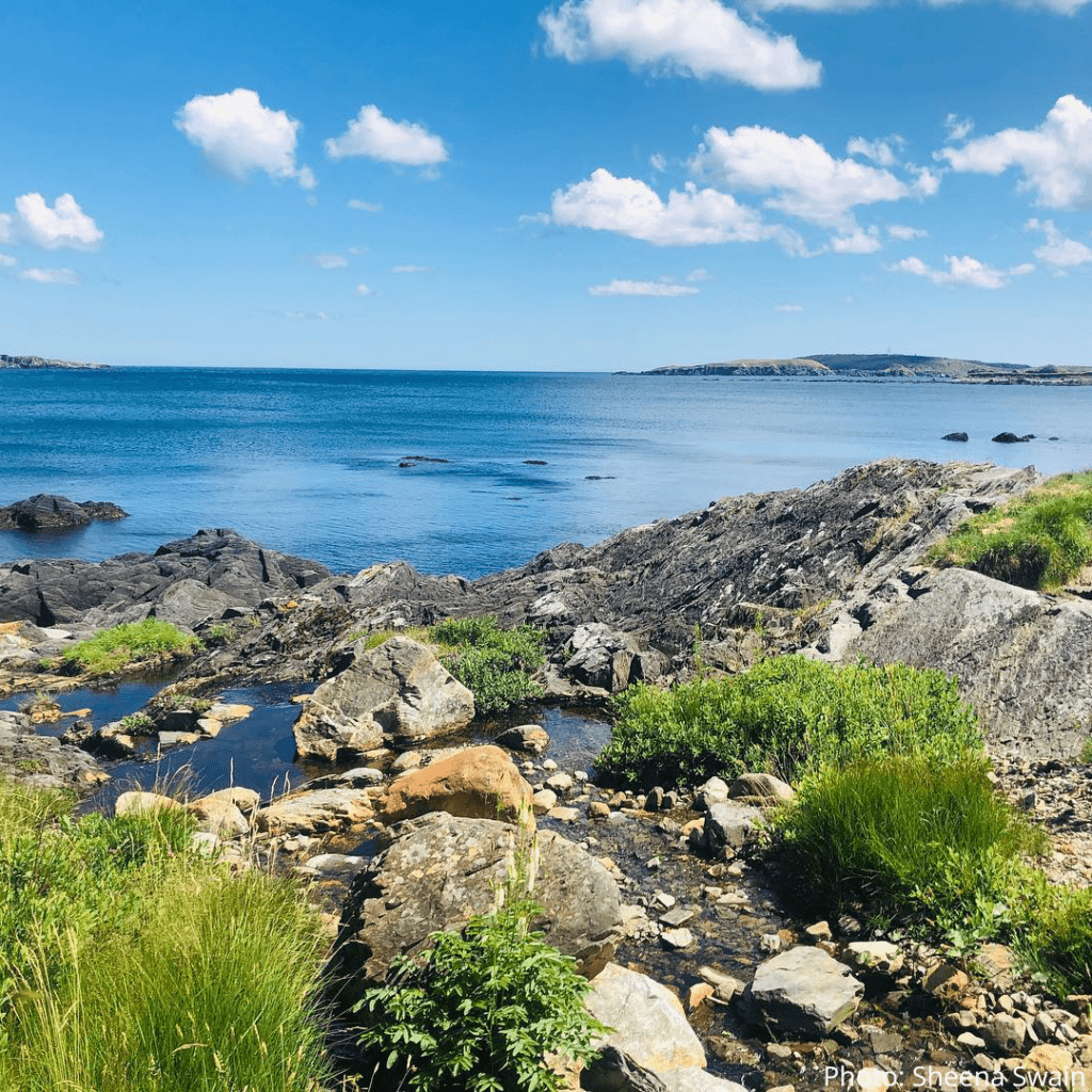 caplin cycles