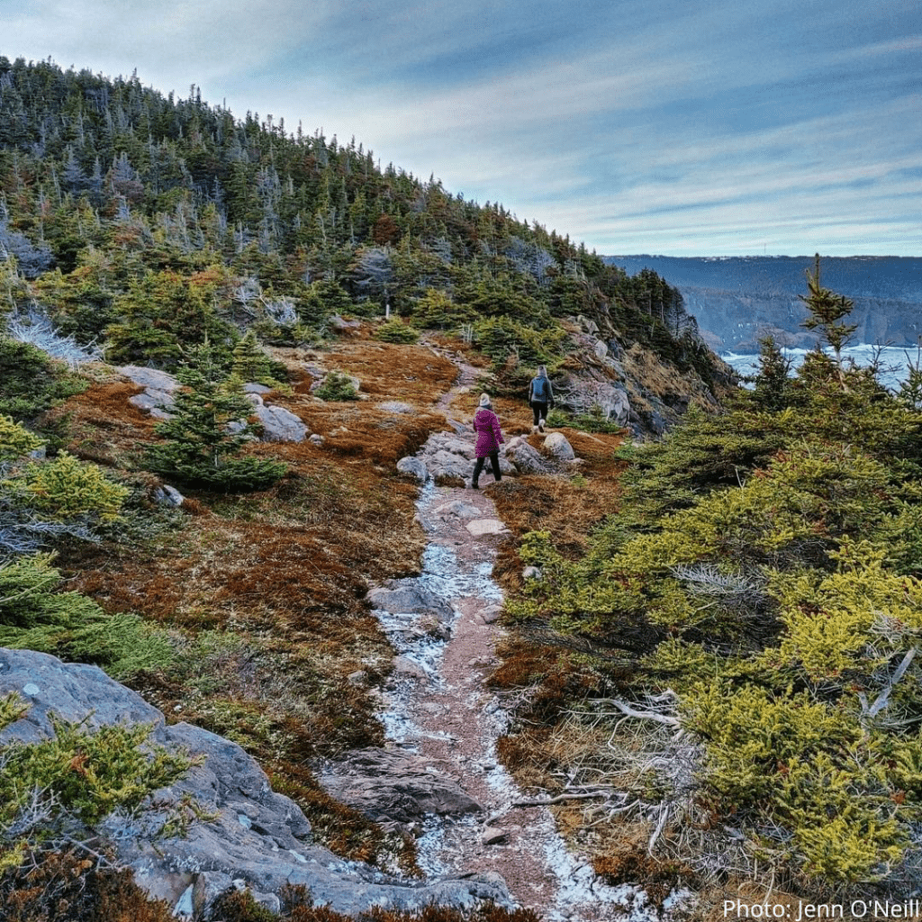10. Deadmans Bay Path East Coast Trail