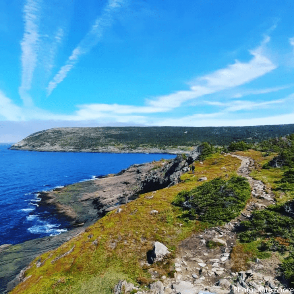 10. Deadmans Bay Path East Coast Trail