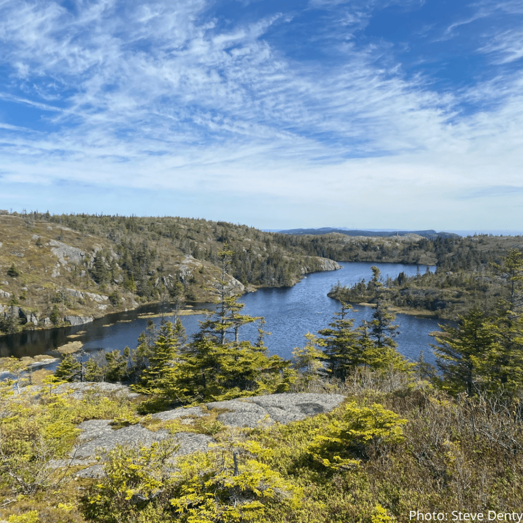 10. Deadmans Bay Path East Coast Trail
