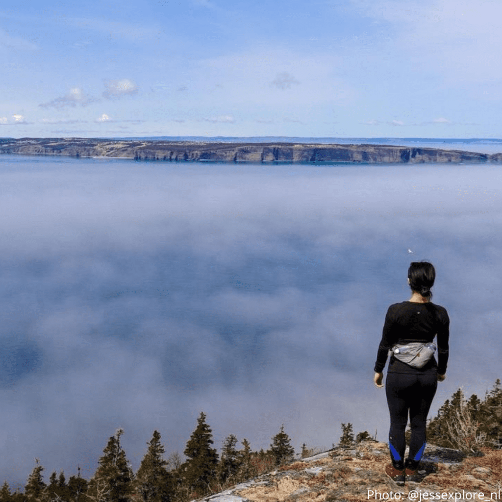 Picco's Ridge Path 02. Piccos Ridge Path | East Coast Trail