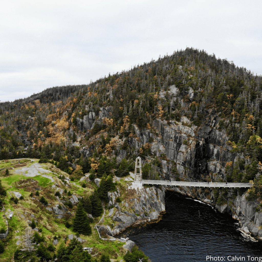 17. La Manche Village Path | East Coast Trail